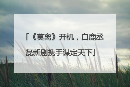 《莫离》开机，白鹿丞磊新剧携手谋定天下