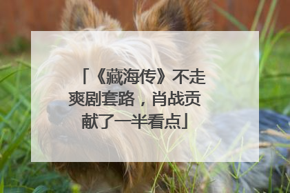 《藏海传》不走爽剧套路，肖战贡献了一半看点