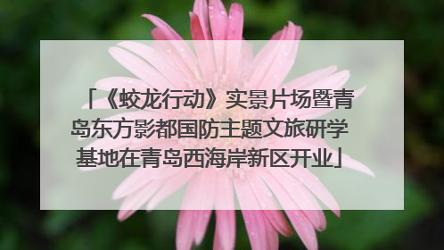 《蛟龙行动》实景片场暨青岛东方影都国防主题文旅研学基地在青岛西海岸新区开业