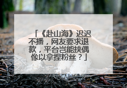《赴山海》迟迟不播，网友要求退款，平台岂能挟偶像以拿捏粉丝？