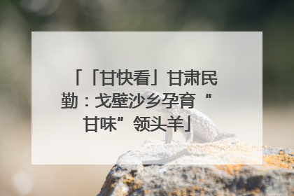 「甘快看」甘肃民勤：戈壁沙乡孕育“甘味”领头羊