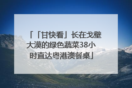 「甘快看」长在戈壁大漠的绿色蔬菜38小时直达粤港澳餐桌