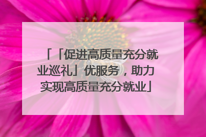 「促进高质量充分就业巡礼」优服务，助力实现高质量充分就业