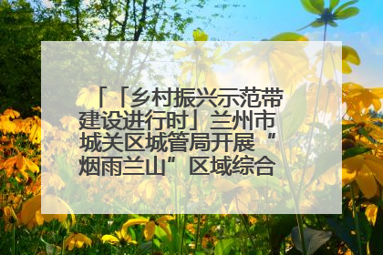 「乡村振兴示范带建设进行时」兰州市城关区城管局开展“烟雨兰山”区域综合整治专项行动