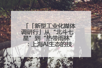 「新型工业化媒体调研行」从“北斗七星”到“热带雨林”：上海AI生态的技术商业共生密码