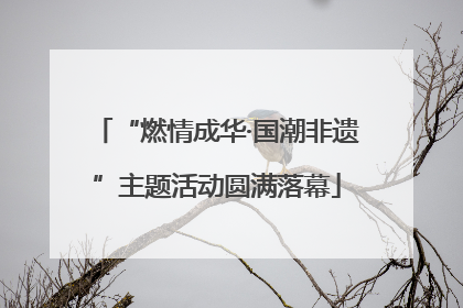 “燃情成华·国潮非遗”主题活动圆满落幕
