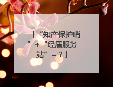 “知产保护哨”+“经盾服务站”=？