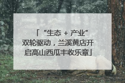“生态 + 产业”双轮驱动，兰溪黄店开启高山西瓜丰收乐章