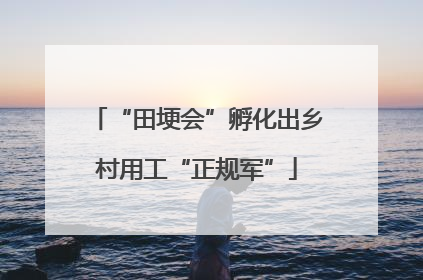 “田埂会”孵化出乡村用工“正规军”