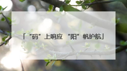 “码”上响应 “阳”帆护航