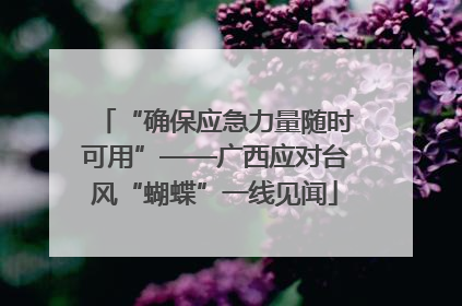 “确保应急力量随时可用”——广西应对台风“蝴蝶”一线见闻