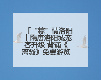 “粽”情洛阳丨隋唐洛阳城宠客升级 背诵《离骚》免费游览九洲池