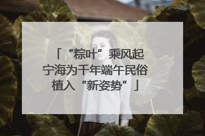 “粽叶”乘风起 宁海为千年端午民俗植入“新姿势”