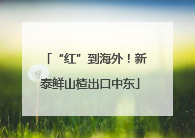 “红”到海外！新泰鲜山楂出口中东