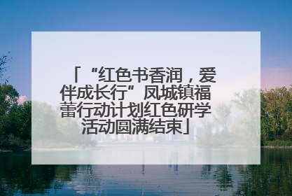 “红色书香润，爱伴成长行”凤城镇福蕾行动计划红色研学活动圆满结束