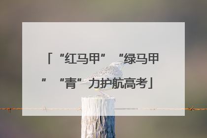 “红马甲”“绿马甲”“青”力护航高考