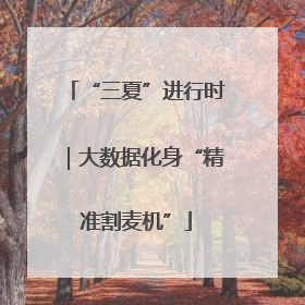 “三夏”进行时｜大数据化身“精准割麦机”