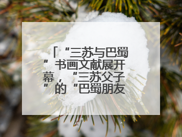 “三苏与巴蜀”书画文献展开幕，“三苏父子”的“巴蜀朋友圈”人物亮相