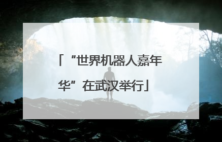 “世界机器人嘉年华”在武汉举行