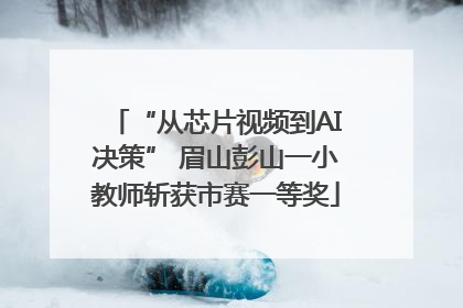 “从芯片视频到AI决策” 眉山彭山一小教师斩获市赛一等奖
