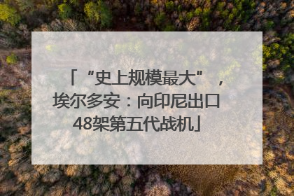 “史上规模最大”，埃尔多安：向印尼出口48架第五代战机
