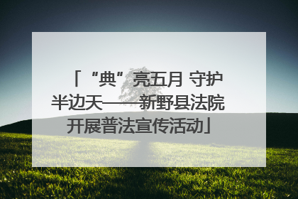 “典”亮五月 守护半边天——新野县法院开展普法宣传活动