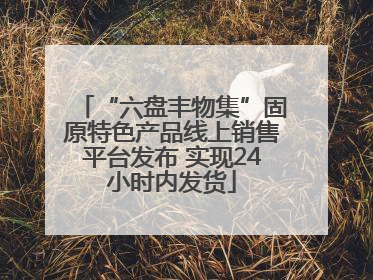 “六盘丰物集”固原特色产品线上销售平台发布 实现24小时内发货