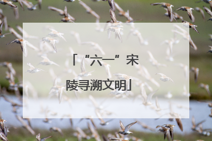 “六一”宋陵寻溯文明