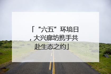 “六五”环境日，大兴廊坊携手共赴生态之约