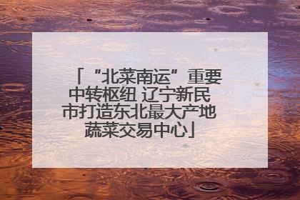 “北菜南运”重要中转枢纽 辽宁新民市打造东北最大产地蔬菜交易中心