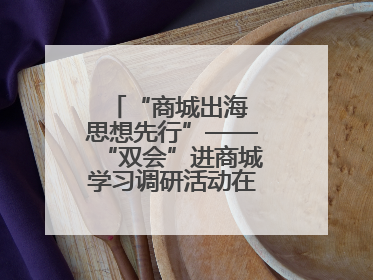 “商城出海 思想先行”——“双会”进商城学习调研活动在临沂顺利开展