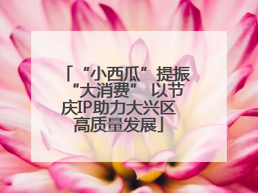 “小西瓜”提振“大消费” 以节庆IP助力大兴区高质量发展