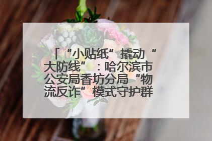 “小贴纸”撬动“大防线”：哈尔滨市公安局香坊分局“物流反诈”模式守护群众“钱袋子”