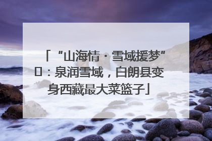 “山海情・雪域援梦”⑪：泉润雪域，白朗县变身西藏最大菜篮子