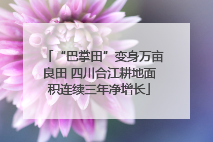 “巴掌田”变身万亩良田 四川合江耕地面积连续三年净增长