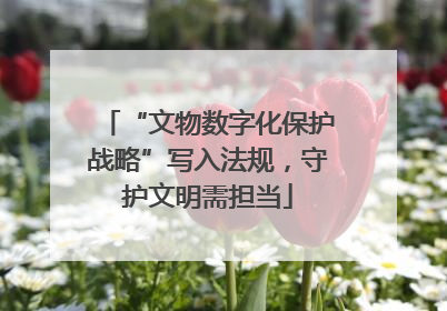 “文物数字化保护战略”写入法规，守护文明需担当