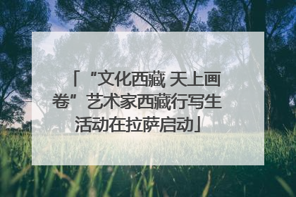 “文化西藏 天上画卷”艺术家西藏行写生活动在拉萨启动