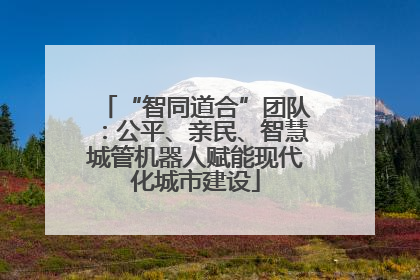 “智同道合”团队：公平、亲民、智慧城管机器人赋能现代化城市建设