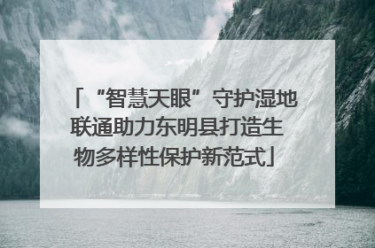 “智慧天眼”守护湿地 联通助力东明县打造生物多样性保护新范式