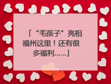 “毛孩子”亮相福州这里！还有很多福利……