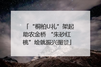 “桐柏U礼”架起助农金桥 “朱砂红桃”绘就振兴图景