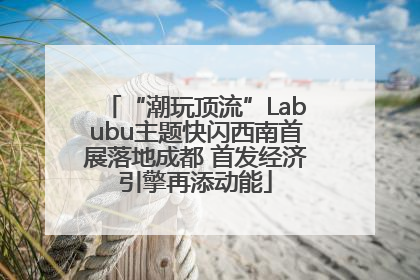 “潮玩顶流”Labubu主题快闪西南首展落地成都 首发经济引擎再添动能