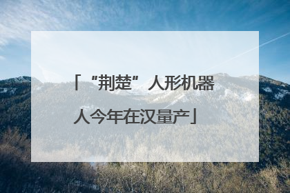 “荆楚”人形机器人今年在汉量产