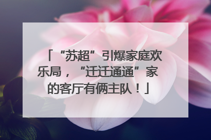 “苏超”引爆家庭欢乐局，“迁迁通通”家的客厅有俩主队！