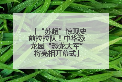 “苏超”惊现史前拉拉队！中华恐龙园“恐龙大军”将亮相开幕式