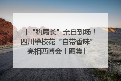 “豹局长”亲自到场！四川攀枝花“自带香味”亮相西博会丨图集