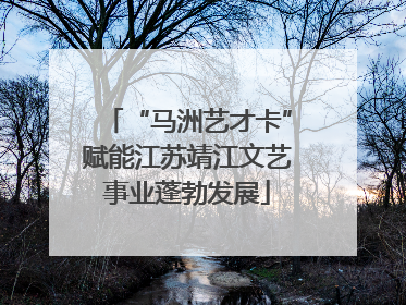 “马洲艺才卡”赋能江苏靖江文艺事业蓬勃发展
