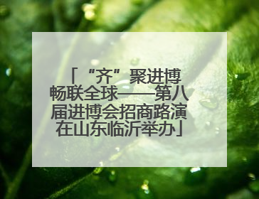 “齐”聚进博 畅联全球——第八届进博会招商路演在山东临沂举办