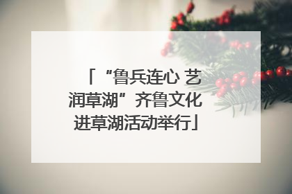 “鲁兵连心 艺润草湖”齐鲁文化进草湖活动举行