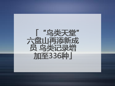 “鸟类天堂”六盘山再添新成员 鸟类记录增加至336种